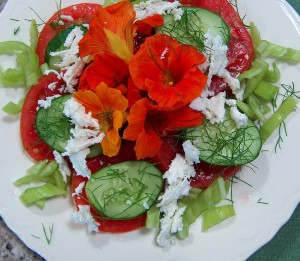 Assemblage Spring Salad