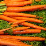 Garden Fresh Carrots