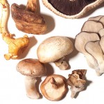 Earthy Mushrooms