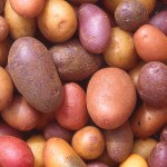 Potatoes of Every Color